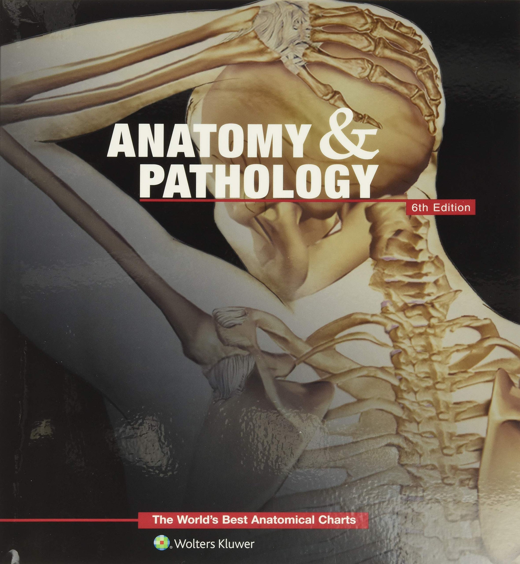 Anatomy and Pathology Anatomical Chart Series – Acudepot